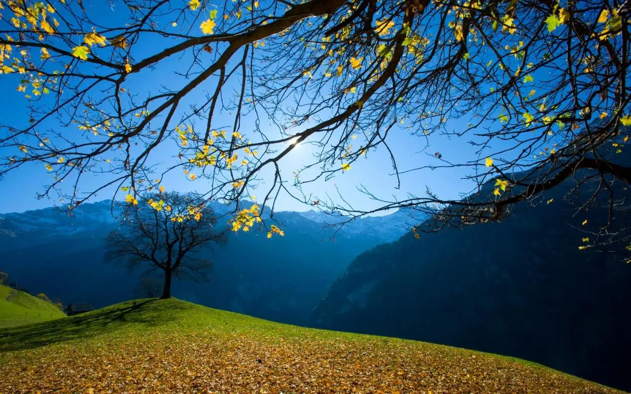 精密智能制造科技